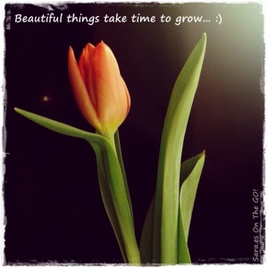 Beautiful things take time to grow